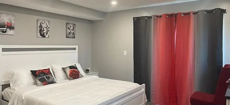 Standard Room at The Tel Hollywood Beach
